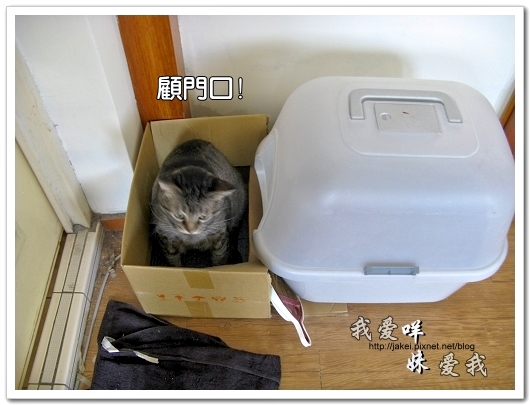100528 顧廁所 03.jpg 100528 顧廁所 03.jpg