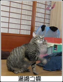 運動吧~班克 特寫8.jpg