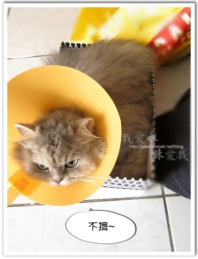 100423 有個高箱子 04.jpg
