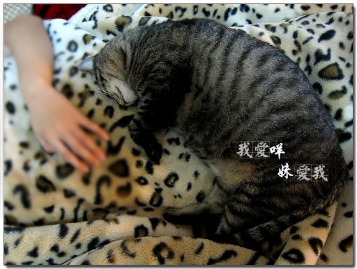 100417 一起睡 02.jpg