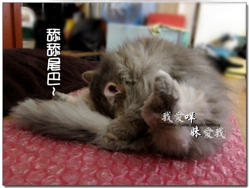 100403 翹腳咩抬腳 05.jpg