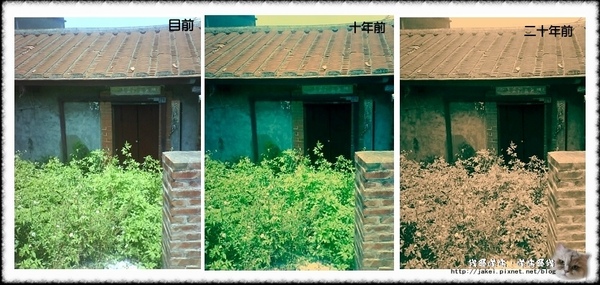 點圖放大