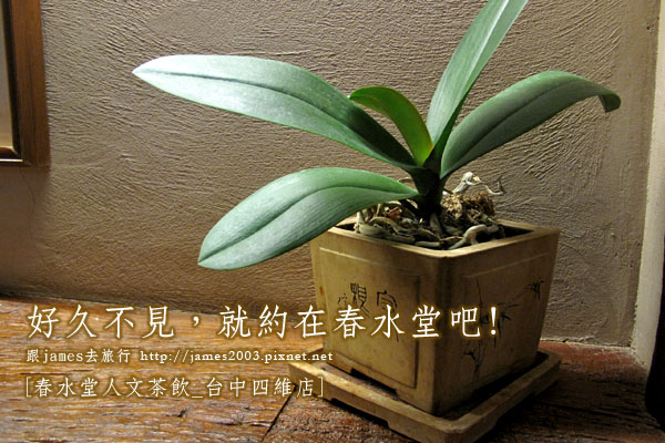 台中茶店_春水堂00 台中茶店_春水堂00
