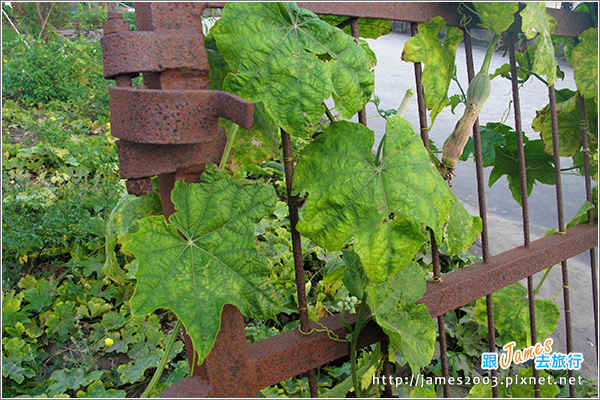 [雲林景點] 虎尾彩繪剪紙藝術村23.JPG