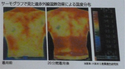19.jpg 19.jpg