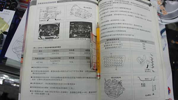 照片 037 照片 037