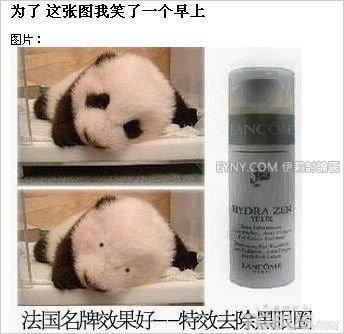 熊貓眼.jpg 熊貓眼.jpg