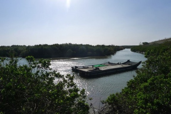 從地層下陷到漁鹽農村串連，嘉義沿海的重生之旅