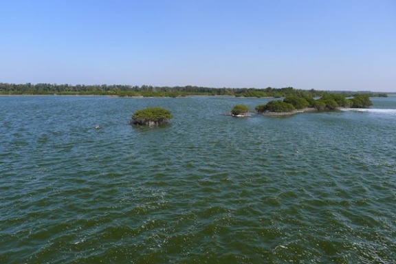 1898121_796258390401741_1599716262_n