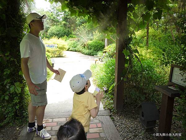 P1070372.JPG P1070372.JPG