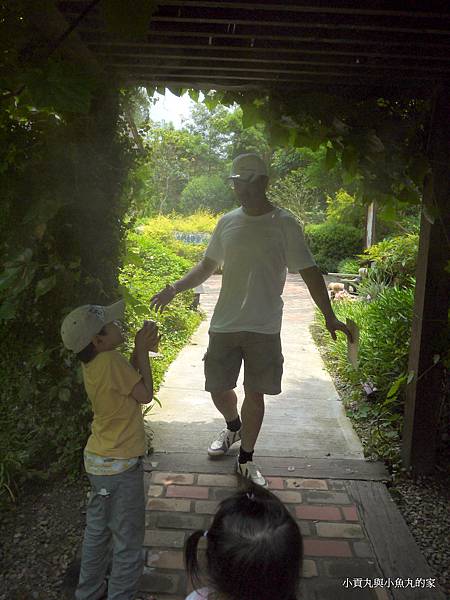 P1070373.JPG P1070373.JPG