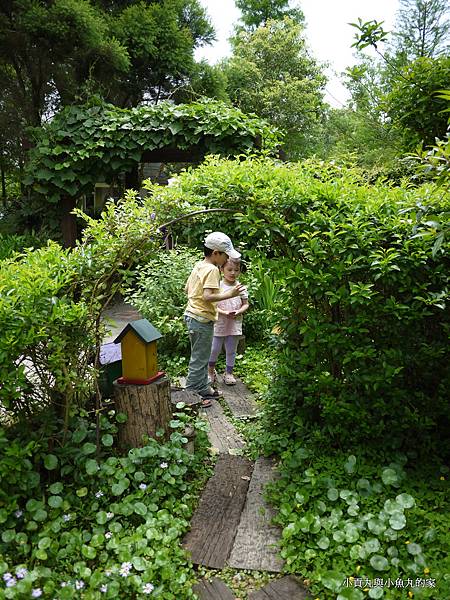 P1070380.JPG P1070380.JPG