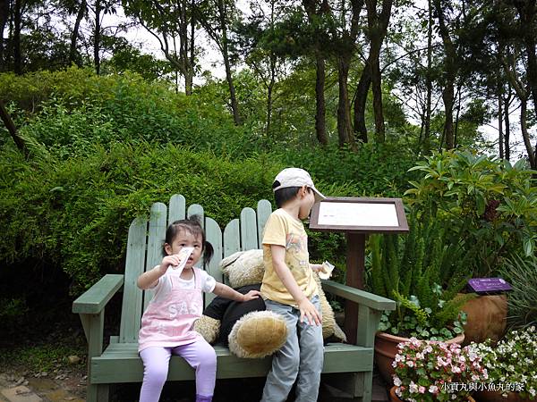 P1070382.JPG P1070382.JPG