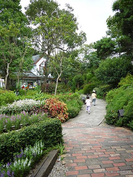 P1070384.JPG P1070384.JPG