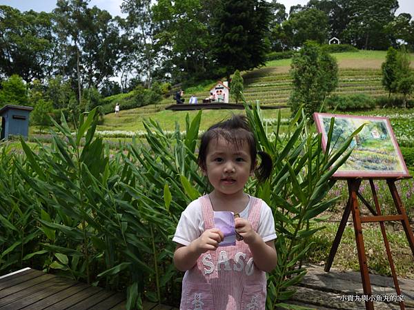 P1070385.JPG P1070385.JPG