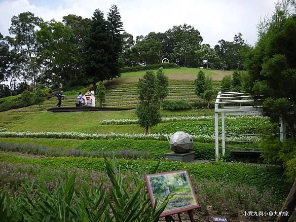 P1070386.JPG P1070386.JPG