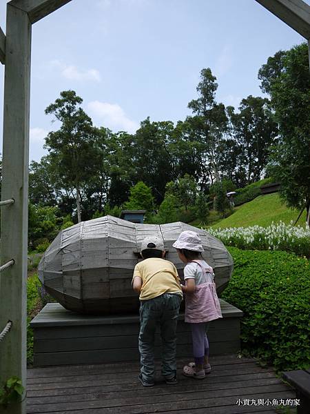 P1070387.JPG P1070387.JPG