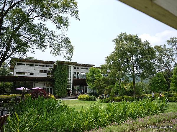 P1070389.JPG P1070389.JPG