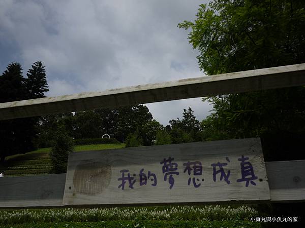 P1070390.JPG P1070390.JPG