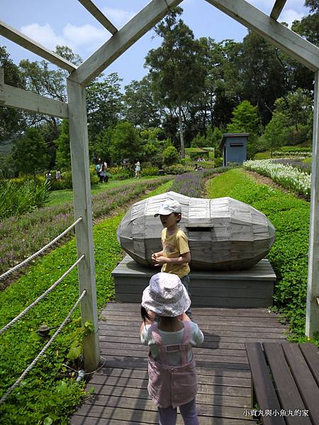 P1070391.JPG P1070391.JPG