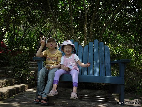 P1070394.JPG P1070394.JPG