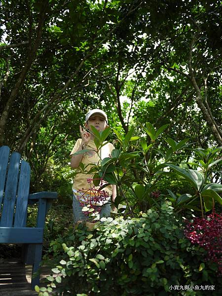 P1070396.JPG P1070396.JPG