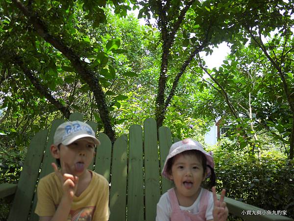 P1070397.JPG P1070397.JPG