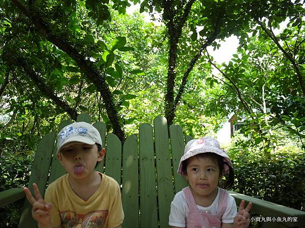 P1070398.JPG P1070398.JPG