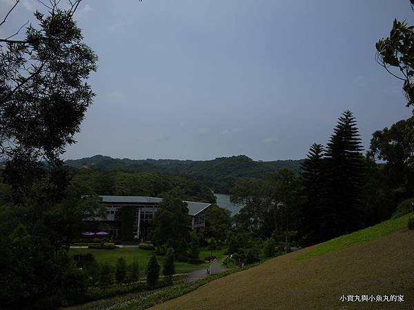 P1070399.JPG P1070399.JPG