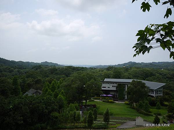 P1070401.JPG P1070401.JPG