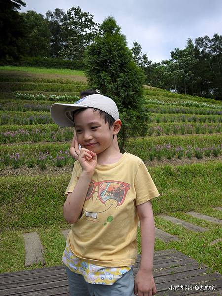 P1070410.JPG P1070410.JPG