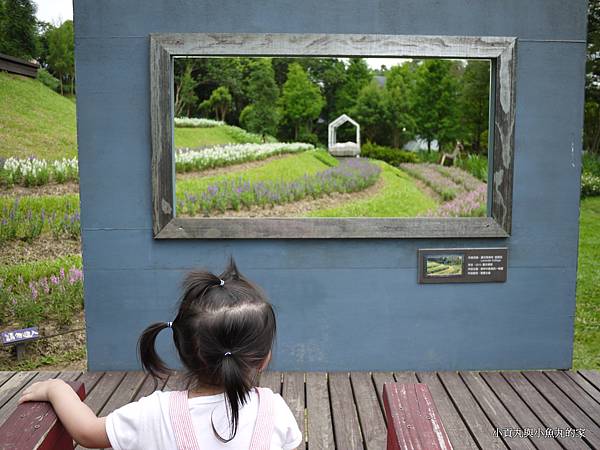 P1070412.JPG P1070412.JPG