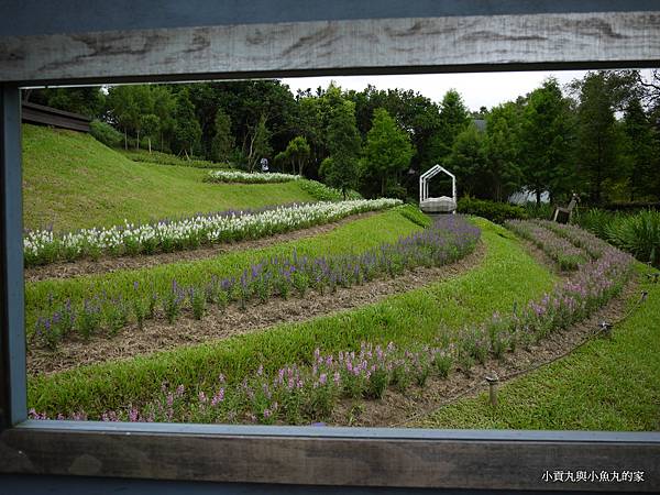 P1070413.JPG P1070413.JPG