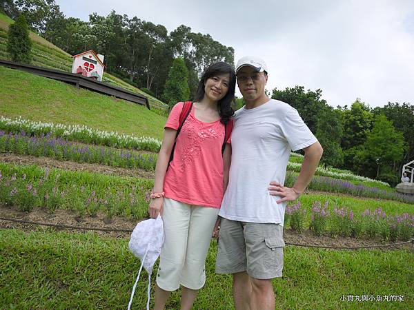 P1070416.JPG P1070416.JPG