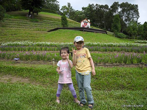 P1070418.JPG P1070418.JPG