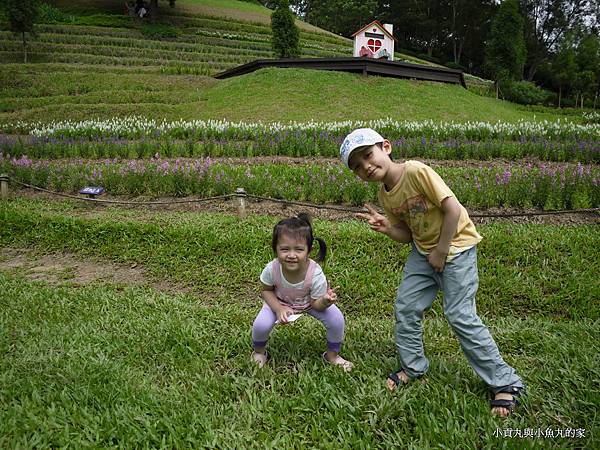 P1070420.JPG P1070420.JPG