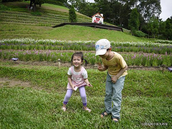 P1070421.JPG P1070421.JPG