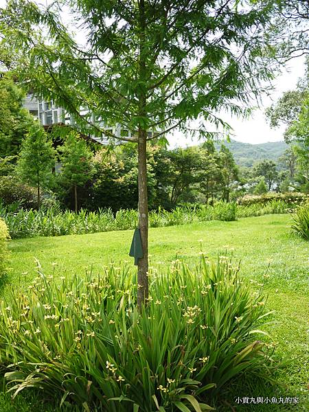 P1070422.JPG P1070422.JPG