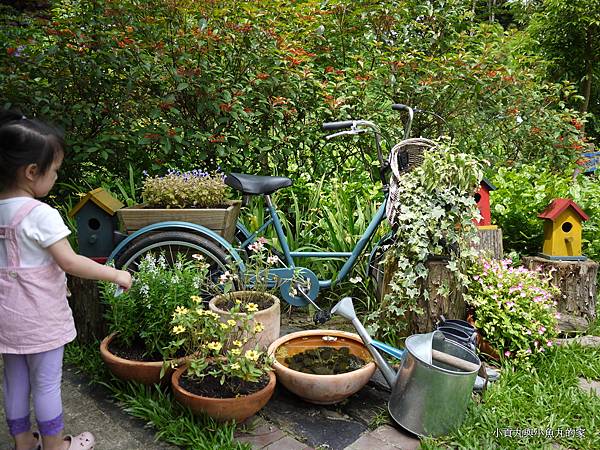 P1070429.JPG P1070429.JPG