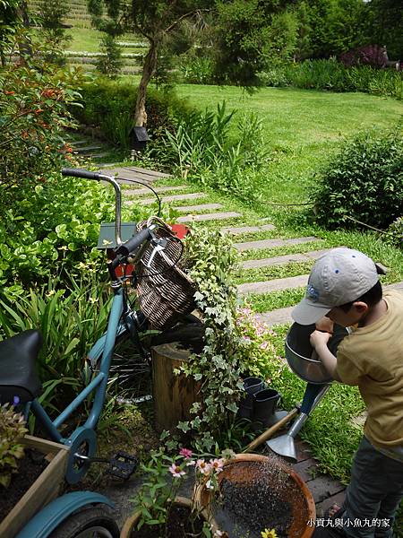 P1070434.JPG P1070434.JPG