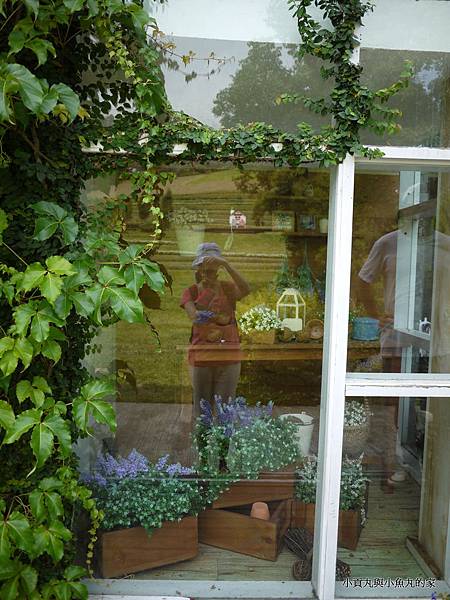 P1070435.JPG P1070435.JPG