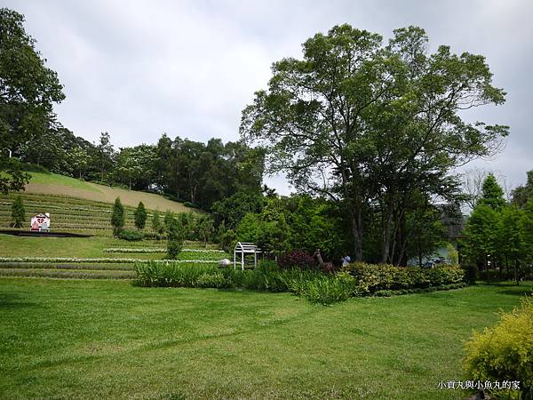 P1070436.JPG P1070436.JPG