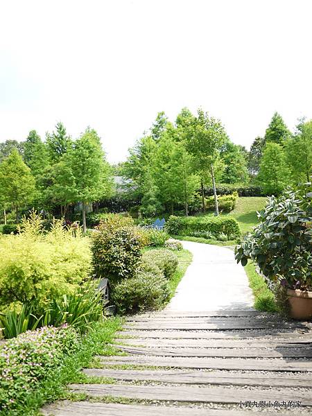 P1070437.JPG P1070437.JPG