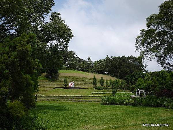 P1070438.JPG P1070438.JPG