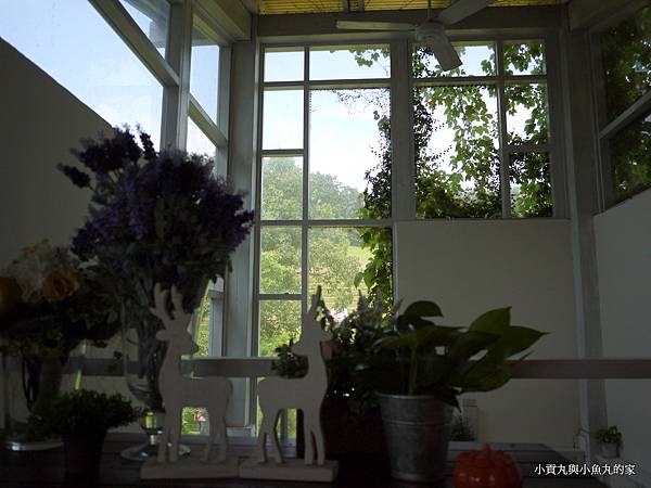 P1070451.JPG P1070451.JPG