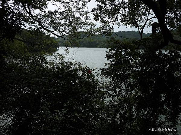 P1070453.JPG P1070453.JPG