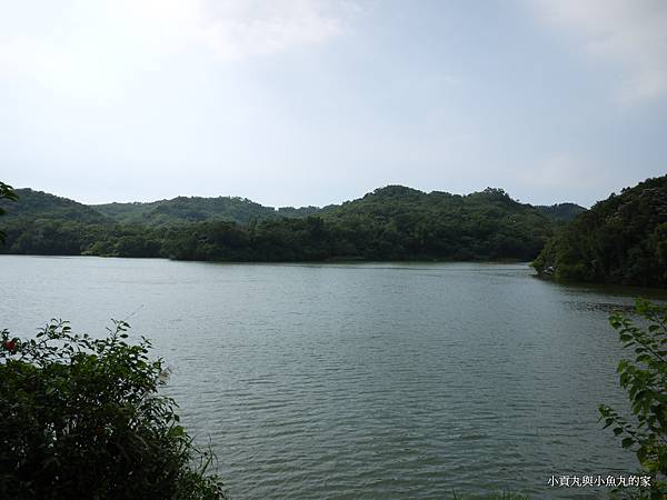 P1070459.JPG P1070459.JPG