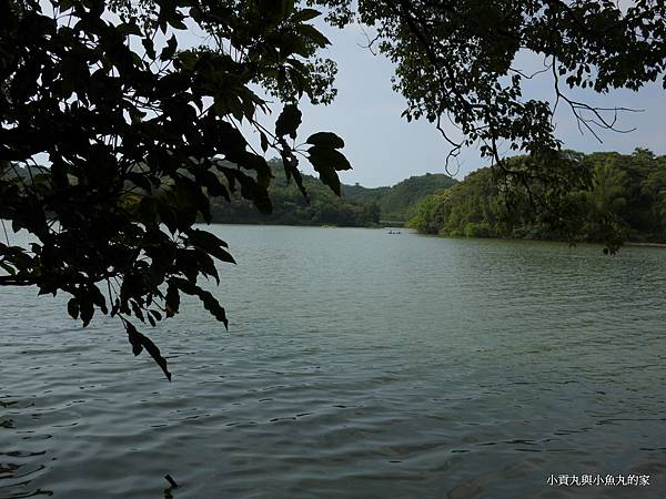 P1070467.JPG P1070467.JPG