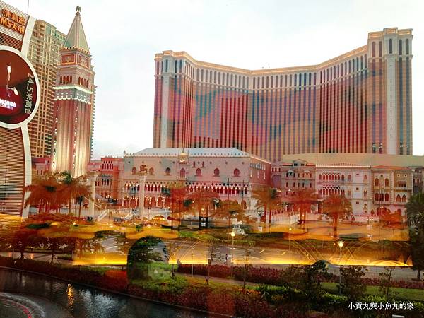 IMG_1810.JPG IMG_1810.JPG