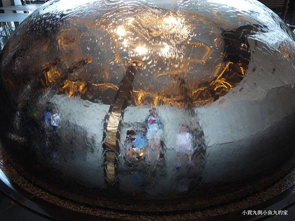 P1080519.JPG P1080519.JPG